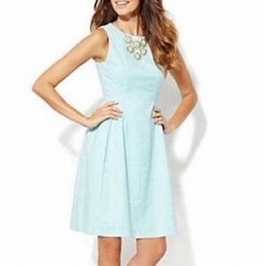 Eva Mendes for New York & Co Sleeveless Mint Green Jacquard Fit & Flare Dress